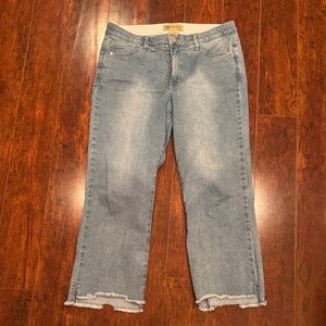 Democracy Light Blue Cropped Straight Jeans with Frayed Hem